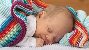 1-4-2012 SHOWBIZZ; IN BEN JULIUS DE NIJS. Rob en Henriette de Nijs zijn dolblij met hun mooiste baby ter wereld JULIUS. Evert Santegoeds reisde af naar het landelijke EDE en maakte een mooi verhaal dat vandaag word gepubliceerd op de PRIVE pagina van de TELEGRAAF. De gehele foto serie van de mooiste baby is binnenkort te zien op deze site. 
exclusief foto: Albert den Iseger.
