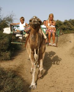 13-08-2006 SHOWBIZZ; FRANS BAUER EN FAMILIE OP VAKANTIE IN SPANJE. Frans_ Mariska en de kinderen waren heerlijk op vakantie op de Canarische Eilanden. Na een zeer drukke periode voor Frans was het tijd om te genieten van zijn gezin.Wij waren erbij en maakte een prachtige fotoreportage. Deze week het exclusieve verhaal in de Prive.
foto: Albert den Iseger.