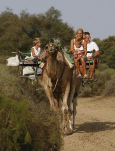 13-08-2006 SHOWBIZZ; FRANS BAUER EN FAMILIE OP VAKANTIE IN SPANJE. Frans_ Mariska en de kinderen waren heerlijk op vakantie op de Canarische Eilanden. Na een zeer drukke periode voor Frans was het tijd om te genieten van zijn gezin.Wij waren erbij en maakte een prachtige fotoreportage. Deze week het exclusieve verhaal in de Prive.
foto: Albert den Iseger.
