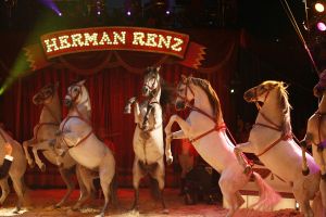 31-07-2007 SHOWBIZZ; PREMIERE VAN CIRCUS HERMAN RENZ TE AMSTERDAM. Vele circus vrienden waren op de premiere van het nieuwe programma van het circus Renz team.
foto: Albert den Iseger