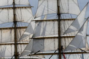 20-08-2025:LAATSTE NIEUWS;Aankomst schepen op weg naar Amsterdam.Mooi weer veel publiek en duizenden kleine schepen allemaal op weg naar het IJ Amsterdam.
foto: Albert den Iseger.