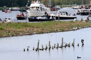 20-08-2025:LAATSTE NIEUWS;Aankomst schepen op weg naar Amsterdam.Mooi weer veel publiek en duizenden kleine schepen allemaal op weg naar het IJ Amsterdam.
foto: Albert den Iseger.