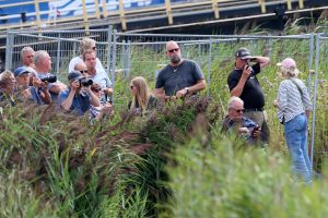 20-08-2025:LAATSTE NIEUWS;Aankomst schepen op weg naar Amsterdam.Mooi weer veel publiek en duizenden kleine schepen allemaal op weg naar het IJ Amsterdam.
foto: Albert den Iseger.
