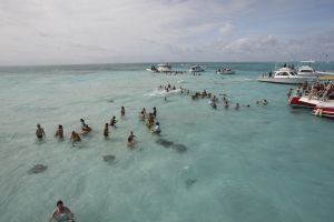 05-12-2007 SHOWBIZZ; ALLE FANS AAN DEK BIJ DE GROOTSTE FAMILIE VAN NEDERLAND. De Tros bracht 800 familieleden naar het Caribische gebied en nam daar oa. op een Cruise boot een pracht van een muziekprogramma op dat 14 december a.s. wordt uitgezonden. Vele Nederlandese en Belgische artiesten waren aanwezig zoals Wolter Kroes_ Marianne Weber_Helmut Lotti_Belle Perez_Jan Keizer met dochter Nellie _Monique Smit_Thomas Berge_Corry Konings en nog vele anderen. Het wordt 14 December bijna 2 uur lang smullen van de mooiste beelden en muziek  uit het Caribische gebied.
foto: Albert den Iseger