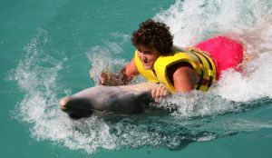 05-12-2007 SHOWBIZZ; ALLE FANS AAN DEK BIJ DE GROOTSTE FAMILIE VAN NEDERLAND. De Tros bracht 800 familieleden naar het Caribische gebied en nam daar oa. op een Cruise boot een pracht van een muziekprogramma op dat 14 december a.s. wordt uitgezonden. Vele Nederlandese en Belgische artiesten waren aanwezig zoals Wolter Kroes_ Marianne Weber_Helmut Lotti_Belle Perez_Jan Keizer met dochter Nellie _Monique Smit_Thomas Berge_Corry Konings en nog vele anderen. Het wordt 14 December bijna 2 uur lang smullen van de mooiste beelden en muziek uit het Caribische gebied.
foto: Albert den Iseger