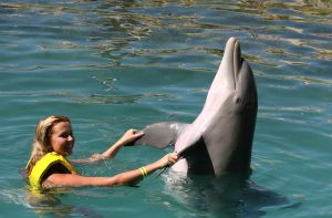 05-12-2007 SHOWBIZZ; ALLE FANS AAN DEK BIJ DE GROOTSTE FAMILIE VAN NEDERLAND. De Tros bracht 800 familieleden naar het Caribische gebied en nam daar oa. op een Cruise boot een pracht van een muziekprogramma op dat 14 december a.s. wordt uitgezonden. Vele Nederlandese en Belgische artiesten waren aanwezig zoals Wolter Kroes_ Marianne Weber_Helmut Lotti_Belle Perez_Jan Keizer met dochter Nellie _Monique Smit_Thomas Berge_Corry Konings en nog vele anderen. Het wordt 14 December bijna 2 uur lang smullen van de mooiste beelden en muziek uit het Caribische gebied.
foto: Albert den Iseger