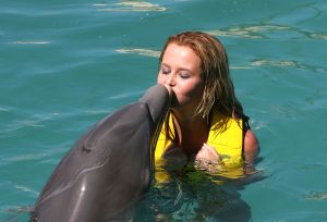 05-12-2007 SHOWBIZZ; ALLE FANS AAN DEK BIJ DE GROOTSTE FAMILIE VAN NEDERLAND. De Tros bracht 800 familieleden naar het Caribische gebied en nam daar oa. op een Cruise boot een pracht van een muziekprogramma op dat 14 december a.s. wordt uitgezonden. Vele Nederlandese en Belgische artiesten waren aanwezig zoals Wolter Kroes_ Marianne Weber_Helmut Lotti_Belle Perez_Jan Keizer met dochter Nellie _Monique Smit_Thomas Berge_Corry Konings en nog vele anderen. Het wordt 14 December bijna 2 uur lang smullen van de mooiste beelden en muziek uit het Caribische gebied.
foto: Albert den Iseger