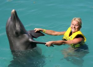 05-12-2007 SHOWBIZZ; ALLE FANS AAN DEK BIJ DE GROOTSTE FAMILIE VAN NEDERLAND. De Tros bracht 800 familieleden naar het Caribische gebied en nam daar oa. op een Cruise boot een pracht van een muziekprogramma op dat 14 december a.s. wordt uitgezonden. Vele Nederlandese en Belgische artiesten waren aanwezig zoals Wolter Kroes_ Marianne Weber_Helmut Lotti_Belle Perez_Jan Keizer met dochter Nellie _Monique Smit_Thomas Berge_Corry Konings en nog vele anderen. Het wordt 14 December bijna 2 uur lang smullen van de mooiste beelden en muziek uit het Caribische gebied.
foto: Albert den Iseger