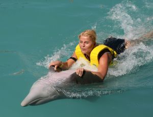 05-12-2007 SHOWBIZZ; ALLE FANS AAN DEK BIJ DE GROOTSTE FAMILIE VAN NEDERLAND. De Tros bracht 800 familieleden naar het Caribische gebied en nam daar oa. op een Cruise boot een pracht van een muziekprogramma op dat 14 december a.s. wordt uitgezonden. Vele Nederlandese en Belgische artiesten waren aanwezig zoals Wolter Kroes_ Marianne Weber_Helmut Lotti_Belle Perez_Jan Keizer met dochter Nellie _Monique Smit_Thomas Berge_Corry Konings en nog vele anderen. Het wordt 14 December bijna 2 uur lang smullen van de mooiste beelden en muziek uit het Caribische gebied.
foto: Albert den Iseger