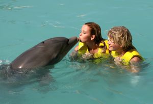 05-12-2007 SHOWBIZZ; ALLE FANS AAN DEK BIJ DE GROOTSTE FAMILIE VAN NEDERLAND. De Tros bracht 800 familieleden naar het Caribische gebied en nam daar oa. op een Cruise boot een pracht van een muziekprogramma op dat 14 december a.s. wordt uitgezonden. Vele Nederlandese en Belgische artiesten waren aanwezig zoals Wolter Kroes_ Marianne Weber_Helmut Lotti_Belle Perez_Jan Keizer met dochter Nellie _Monique Smit_Thomas Berge_Corry Konings en nog vele anderen. Het wordt 14 December bijna 2 uur lang smullen van de mooiste beelden en muziek uit het Caribische gebied.
foto: Albert den Iseger