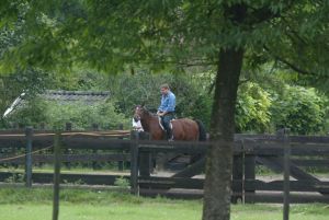 18-07-2003 SHOWBIZZ: ALBERT VERLINDEN KRIJGT RIJLES OP PAARD VAN PARTNER ONNO. Onno geeft Albert zijn eerste rijles op een paard, bij hun thuis in Vught. Vader en Moeder Verlinden kijken toe hoe hun zoon regelmatig van zijn paard valt en de eerste maal er zelfs verkeerd om op ging zitten.Als paparazzo fotograaf moest ik wel verschrikkelijk lachen om dit tafereel te fotograferen, het was zo verschrikkelijk lachwekkend.
foto: Albert den Iseger.