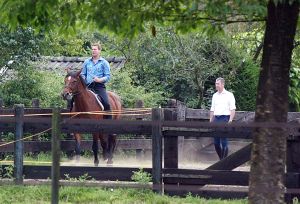 18-07-2003 SHOWBIZZ: ALBERT VERLINDEN KRIJGT RIJLES OP PAARD VAN PARTNER ONNO. Onno geeft Albert zijn eerste rijles op een paard, bij hun thuis in Vught. Vader en Moeder Verlinden kijken toe hoe hun zoon regelmatig van zijn paard valt en de eerste maal er zelfs verkeerd om op ging zitten.Als paparazzo fotograaf moest ik wel verschrikkelijk lachen om dit tafereel te fotograferen, het was zo verschrikkelijk lachwekkend.
foto: Albert den Iseger.