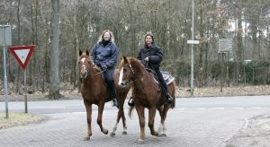 11-02-2006 SHOWBIZZ; BELINDA MEULDIJK GAAT HEERLIJK PAARDRIJDEN MET VRIENDIN IN BOSCH EN DUIN. Wij zagen Belinda heerlijk genieten van haar grootste hobby paardrijden in de bossen van Bosch en Duin haar woonplaats. Ondanks het vele verdriet van haar scheiding met Rob de Nijs even genieten van de heerlijke natuur.
foto: Albert den Iseger.