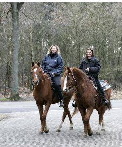 11-02-2006 SHOWBIZZ; BELINDA MEULDIJK GAAT HEERLIJK PAARDRIJDEN MET VRIENDIN IN BOSCH EN DUIN. Wij zagen Belinda heerlijk genieten van haar grootste hobby paardrijden in de bossen van Bosch en Duin haar woonplaats. Ondanks het vele verdriet van haar scheiding met Rob de Nijs even genieten van de heerlijke natuur.
foto: Albert den Iseger.