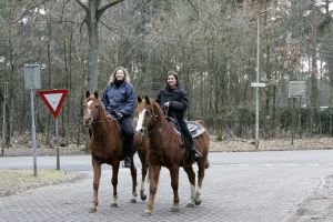 11-02-2006 SHOWBIZZ; BELINDA MEULDIJK GAAT HEERLIJK PAARDRIJDEN MET VRIENDIN IN BOSCH EN DUIN. Wij zagen Belinda heerlijk genieten van haar grootste hobby paardrijden in de bossen van Bosch en Duin haar woonplaats. Ondanks het vele verdriet van haar scheiding met Rob de Nijs even genieten van de heerlijke natuur.
foto: Albert den Iseger.