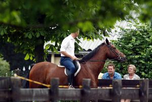 18-07-2003 SHOWBIZZ: ALBERT VERLINDEN KRIJGT RIJLES OP PAARD VAN PARTNER ONNO. Onno geeft Albert zijn eerste rijles op een paard, bij hun thuis in Vught. Vader en Moeder Verlinden kijken toe hoe hun zoon regelmatig van zijn paard valt en de eerste maal er zelfs verkeerd om op ging zitten.Als paparazzo fotograaf moest ik wel verschrikkelijk lachen om dit tafereel te fotograferen, het was zo verschrikkelijk lachwekkend.
foto: Albert den Iseger.