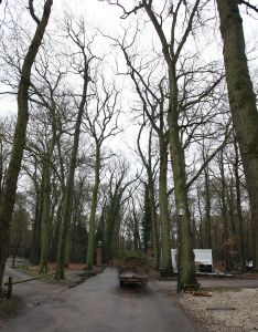21-01-2009 KONINKLIJK HUIS : DRAKENSTEIN IS BIJNA KLAAR. Er word nog wel verbouwd op Drakenstein maar het hoofd gebouw is klaar. Nu nog een nieuw  kantoor voor de algemene  bewaking en dan is het geheel na een jaren lange verbouwing klaar.
foto: Albert den Iseger