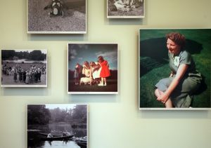 05-02-2009 KONINKLIJKHUIS: NOG NIET VERGETEN KONINGIN JULIANA. De prachtige foto tentoonstelling op Paleis Soestdijk is het begin van een jaar waarin haar honderdste geboortedag wordt herdacht. Een kijkje van wat er te zien is op deze prachtige foto tentoonstelling.
foto: Albert den Iseger.