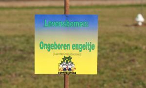 17-10-2009 SHOWBIZZ; NATIONALE BOOMPLANT DAG IN BENTHUIZEN. 
foto: Albert den Iseger