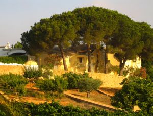 23-01-2014 SHOWBIZZ; CLIFF RICHARD 73 GENIET VAN ZIJN MOOIE WIJN ESTATE IN PORTUGAL. In GUIA ALGARVE PORTUGAL heeft Cliff Richard prachtige wijngaarden en een wijn Estate waar hij heel veel aanwezig is. De 73 jarige top artiest is dit begonnen als een hobby maar het is nu een proffesionele onderneming, genaamd QUITA DO MOIN HO.
foto: Albert den Iseger.