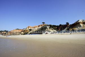 19-07-2005 SHOWBIZZ;XANDER EN WENDY ZIJN SAMEN GOED VOOR SEM.Xander en zijn zoon Sem heerlijk op vakantie in de Algarve,prachtig weer-blauw water en heerlijke speeltuinen voor Sem de ideale vakantie.Xander speelde heerlijk mee en golfde samen met zijn ouders op de 9 hole golf course van hun hotel.Wendy stond na de vakantie het tweetal op te wachten op Schiphol.
Foto;Albert den Iseger.