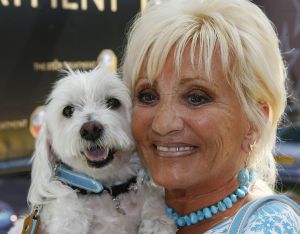 16-07-2006 SHOWBIZZ; BN ers MET HUN HONDEN IN HET HILTON OP BLOED HETE DAG. Het was 32 graden maar men kwam toch naar het Hilton voor de opening van een beauty salon voor honden.De opening werd verricht door Leco die zijn hond had meegenomen met de naam Mister Nielson.
foto: Albert den Iseger.