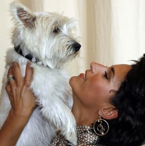 16-07-2006 SHOWBIZZ; BN ers MET HUN HONDEN IN HET HILTON OP BLOED HETE DAG. Het was 32 graden maar men kwam toch naar het Hilton voor de opening van een beauty salon voor honden.De opening werd verricht door Leco die zijn hond had meegenomen met de naam Mister Nielson.
foto: Albert den Iseger.