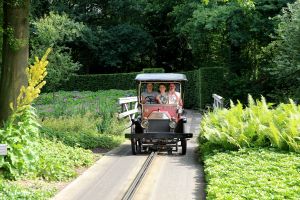 11-07-2016 SHOWBIZZ; FRANS EN MARLOES DUIJTS 12.5 JAAR GETROUWD. Het huwelijksfeest werd gevierd in de Efteling.Met familie en vrienden werd 3 dagen feest gevierd tussen allerlei attractie s en gezelligheid.
foto: Albert den Iseger