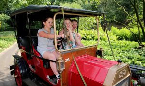 11-07-2016 SHOWBIZZ; FRANS EN MARLOES DUIJTS 12.5 JAAR GETROUWD. Het huwelijksfeest werd gevierd in de Efteling.Met familie en vrienden werd 3 dagen feest gevierd tussen allerlei attractie s en gezelligheid.
foto: Albert den Iseger