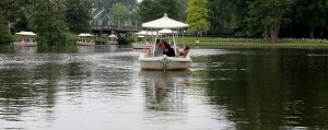 11-07-2016 SHOWBIZZ; FRANS EN MARLOES DUIJTS 12.5 JAAR GETROUWD. Het huwelijksfeest werd gevierd in de Efteling.Met familie en vrienden werd 3 dagen feest gevierd tussen allerlei attractie s en gezelligheid.
foto: Albert den Iseger