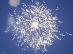 14-06-2005 SHOWBIZZ; RENE EN NATASJA VIEREN FEEST IN MARBELLA. Natasja werd 40 jaar en Rene had een groot feest georganiseerd in de luxe  NIKKI BEACH CLUB. Vuurwerk,mooie mensen en vele echte vrienden waren aanwezig.
foto;Albert den Iseger