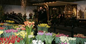 02-03-2005 KONINKLIJK HUIS; BEATRIX OP BEZOEK IN  ANNA POLOWMA OM BEELD TE ONTHULLEN EN OM  IN BREEZAND VOORJAARS BLOEMEN TENTOONSTELLING TE OPENEN.
FOTO; ALBERT DEN ISEGER