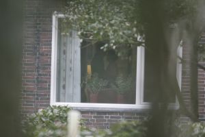 20-03-2005 SHOWBIZZ; BOER ZOEKT VROUW PROGRAMMA VAN DE KRO EN YVONNE JASPERS.BOER PETER VERZWEEG ZIJN AL EERDERE VRIENDIN, PAPARAZZI FOTO S BEWEZEN HET TEGENDEEL. SAMEN KNUS IN HUISKAMER
FOTO\'; ALBERT DEN ISEGER