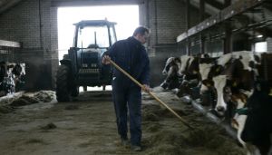 20-03-2005 SHOWBIZZ; BOER ZOEKT VROUW PROGRAMMA VAN DE KRO EN YVONNE JASPERS.BOER PETER VERZWEEG ZIJN AL EERDERE VRIENDIN, PAPARAZZI FOTO S BEWEZEN HET TEGENDEEL.
FOTO\'; ALBERT DEN ISEGER