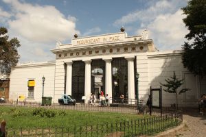 25-03-2009 NIEUWS; GRAF VAN  EVA EVITA PERON TREKT NOG DAGELIJKS DUIZENDEN BEZOEKERS . Het graf van Evita bevindt zich op begraafplaats RICOLETA in Buenos Aires. Een dure wijk van Buenos Aires waar ook de ouders van Maxima wonen.  Een wandeling over deze begraafplaats is als een gang door de geschiedenis van Argentinie. Het graf van Maria Eva Duarte de Peron ligt in een straatje aan de westkant van de begraafplaats. Haar graf is een bedevaartplek geworden. Elke dag komen maar dan duizend mensen bloemen neer leggen-bidden of alleen maar foto-s maken. Voor de Argentijnse elite is dit een bron van ergenis,  zij was toch gewoon een volksmeisje en die horen niet thuis op deze begraafplaats van voorname Argentijnen. Evita stierf op 26 juli 1952 zij was toe 32 jaar oud.
foto: Albert den Iseger.