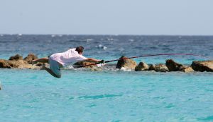 04-03-2010 SHOWBIZZ; FRANS BAUER SLOEG ZEEMEERMIN AAN DE HAAK IN CURACAO. tijdens de opname voorhet programma Banana split sloeg Frans aan het vissen in het azuur blauwe water. Na een half uurtje was het raak, Frans had beet, en hoe. U ziet het allemaal in een nieuwe serie van Bananasplit.
foto: Albert den Iseger.