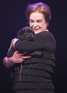 27-03-2015 SHOWBIZZ; STICHTING HULPHOND HAALT MEGA BEDRAG VAN �539.000.00 OP. Hulphond Nederland bestaat al 30 jaar. Nu was er weer een groot gala feest in Studio 21 te Hilversum. Vele prominenten waren gekomen uit zakelijk NL. Veiling meester JOB UBBENS wist met 15 kavels een mega bedrag op te halen waar HULPHOND NL weer mooie dingen mee kan gaan doen.
foto: Albert den Iseger