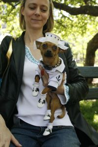 14-05-2006 DAGELIJKS LEVEN; DOGGY DATING IN NEW YORK IS MORE THE A HOT ITEM. In Washington Square Park is het elke dag feest voor de honden van New York.Er zijn daar 2 legale plaatsen waar de baasjes hun honden uit kunnen laten ze heten the dog run the small one voor kleine hondjes en the big one voor de grotere honden.Het is ook een sociale ontmoeting plaats voor allerlei honden liefhebbers.Er is hier een nieuwe rage ontstaan: Doggy dating. Allerlei hondjes komen met hun baasjes nu gekleed in de meest bizarre kleertjes, schoenen,petjes en make up.De gehele dag hoor je de meest opmerkelijke namen van alle populaire haute couture ontwerpers.De honden heten tegenwoordig hier Percy ,Ginchic ,Licorice, Ilah, Coco Chanel, Chivi, Barbie, Loverly enz.Het is echt een parade van allerlei tot over the top aangeklede hondjes die kennis met elkaar maken,snuffelen, likken en af en toe wat blaffen.De baasjes zijn meestal oud acteurs, actrices en sommige zien eruit als porno sterren.Al met al een zeer bonte vertooning en leuk om te zien. Flirten op een zondagmiddag in Washington Square Park is niet allen voor  baasjes maar nu ook voor de hondjes.
foto: Albert den Iseger