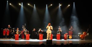 11-05-2009 SHOWBIZZ; DANNY MALANDO ORKEST VIERDE MOEDERDAG MET VELE NOORD HOLLANDERS IN DE VEST. Gisteren was het moederdag een feestdag voor vele moeders die uitgenodigd waren door hun kinderen om te gaan genieten van het moedersdagconcert wat Danny Malando en zijn orkest gaven in theater de Vest te Alkmaar. Op uitnodiging van Danny Malando om te gaan dansen op het podium werd door velen mensen uit de zaal aangegrepen om hun danskunsten te vertonen. De Tango, Foxtrot en diverse andere dansjes kwamen voorbij onder het geweldige applaus van het Alkmaarse publiek. Na de pauze overhandigde Danny aan zijn moeder de nieuwste CD-DVD van Danny Malando orkest dit als goed makertje omdat hij vergeten was zijn moeder s-morgens te verrassen met een ontbijtje. Het was een gezellig en pracht van een concert, vele moeders gingen na afloop meer dan tevreden naar huis met onder hun armen de nieuwste dvd en cd van Danny Malando.
foto: Albert den Iseger.