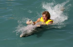 14-11-2007 SHOWBIZZ; THOMAS BERGE EN MONIQUE SMIT EEN STELLETJE. De vonk sloeg definitief over aan board van een cruise boot. Niet alleen de 800 Tros leden hadden de tijd van hun leven ook Monique en Thomas hadden aan board een overgetelijke tijd met elkaar. Tijdens de Tros cruise waar Thomas en Monique voor de 800 Nederlandse muziek fans optraden is hun band alleen maar sterker en hechter geworden.Op de vraag of ze nu echt een relatie hebben werd beantwoord met: Zeg nooit nooit!!
foto: Albert den Iseger.