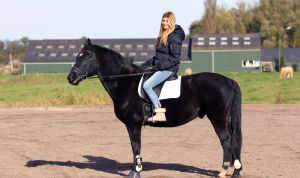 09-11-2012 SHOWBIZZ; ESTELLE CRUIJFF EN DOCHTER JOELLE OP PAARDRIJLES. Estelle en haar dochter Joelle beoefenen hun nieuwste hobby- paardrijden. Lekker in de polder door de bossen en weiden rijden.
foto: Albert den Iseger.