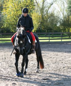 09-11-2012 SHOWBIZZ; ESTELLE CRUIJFF EN DOCHTER JOELLE OP PAARDRIJLES. Estelle en haar dochter Joelle beoefenen hun nieuwste hobby- paardrijden. Lekker in de polder door de bossen en weiden rijden.
foto: Albert den Iseger.