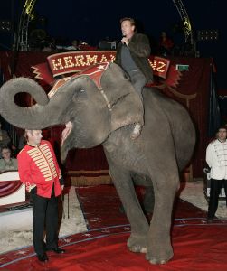 14-10-2005 SHOWBIZZ; BOEKPRESENTATIE VAN SCHRIJVER JAN VRIEND DOOR HENNY HUISMAN. Henny Huisman kwam de circus tent binnen op een olifant, daarna reikt hij de eerste exemplaren uit van het boek UIT HET DAL van schrijver Jan Vriend.Het boek gaat over verhalen van verschillende BNers. Een aantal van hen was ook aanwezig oa Maribelle,Petra Heyboer, Sylvana Simons,Xandra Brood en Marion van der Valk.Het was nog lang gezellig in het circus RENZ te Den Haag.
foto: Albert den Iseger. 