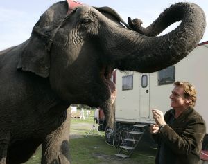 14-10-2005 SHOWBIZZ; BOEKPRESENTATIE VAN SCHRIJVER JAN VRIEND DOOR HENNY HUISMAN. Henny Huisman kwam de circus tent binnen op een olifant, daarna reikt hij de eerste exemplaren uit van het boek UIT HET DAL van schrijver Jan Vriend.Het boek gaat over verhalen van verschillende BNers. Een aantal van hen was ook aanwezig oa Maribelle,Petra Heyboer, Sylvana Simons,Xandra Brood en Marion van der Valk.Het was nog lang gezellig in het circus RENZ te Den Haag.
foto: Albert den Iseger. 