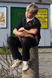 17-10-2007 SHOWBIZZ; DAVE DEKKER IS IN 2007 DE ECHTE CISKE DE RAT.Na de spetterende premiere van Ciske de Rat in theater Carre is het nu wel duidelijk de enige echte Rat is Dave Dekker uit Amsterdam Noord. Een echt brutaal binkie wat gewoon van voetballen houdt en af en toe een relletje ontketend in de Amsterdamse buurt. Ik maakte een dagje paparazzi foto-s van Dave Dekker tot dat hij mij ontdekte, toen bleek er een echte Ciske te bestaan, beleeft, brutaal en vooral een echte kwajongen.
foto: Albert den Iseger.