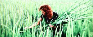 16-10-2009 SHOWBIZZ; BOER JOS EN DYCKE ZIJN AL STELLETJE IN HUN DIRECTE OMGEVING. In het KRO programma BOER ZOEKT VROUW van Yvon Jaspers in boer Jos nog volop aan het dollen met zijn vrouwen, jawel voor de camera, want in het weekend is hij vooral gehecht aan het adres van Dycke in Silvolde. Iedereen in Silvolde heeft het er al over Boer Jos en Dycke zijn een hecht stelletje geworden.Wij zochten het paar op in Steenbergen en in Silvolde. Edwin Bredius maakte een exclusief verhaal en ik kwam boer Jos tegen in de supermarkt met zijn dochter, boodschappen doen voor het a.s. weekend. Het exclusieve verhaal deze week in uw weekblad Prive.
foto: Albert den Iseger.