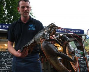 14-10-2010 NIEUWS; REUZE KREEFT OP MENU VAN RESTAURANT ONDER DE LINDE IN BERGEN. Een kreeft van meer dan 5 kilo is geleverd aan het restaurant Onder de Linde in het Noord Hollandse Bergen. Het monster was gekocht door Vishal Alkmaar die het door leverde aan het restaurant in Bergen. De Chefkok had nog nooit een kreeft gezien van dit formaat,bijna een meter lang en meer dan 5 kilo. Geschat werd dat de kreeft ook meer dan 20 jaar oud moest zijn.Al met al weer een mooi verhaal met een lekker einde.
foto: Albert den Iseger