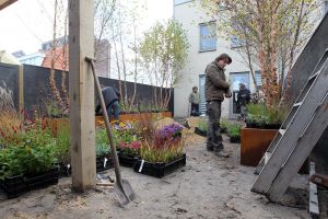 28-10-2011 SHOWBIZZ; EIGEN HUIS EN TUIN ACTIEF IN HEERHUGOWAARD.Lodewijk Hoekstra en zijn groene tuinteam waren actief in Heehugowaard, zij maakten van een slordig tuintje een prachtige design tuin met betonnen banken en een betonnen tafel. Eigen huis en Tuin  TV uitzending is op 12-11-2011 en het vervolg op 19-11-2011. 
foto: Albert den Iseger.