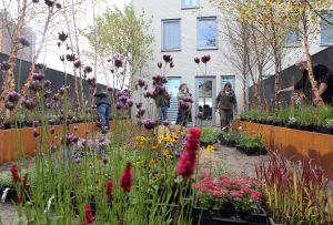 28-10-2011 SHOWBIZZ; EIGEN HUIS EN TUIN ACTIEF IN HEERHUGOWAARD.Lodewijk Hoekstra en zijn groene tuinteam waren actief in Heehugowaard, zij maakten van een slordig tuintje een prachtige design tuin met betonnen banken en een betonnen tafel. Eigen huis en Tuin  TV uitzending is op 12-11-2011 en het vervolg op 19-11-2011. 
foto: Albert den Iseger.