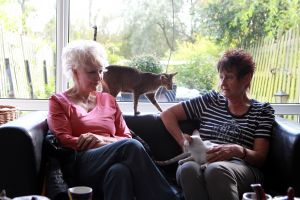 25-10-2012 SHOWBIZZ; ADELE BLOEMENDAAL HAALT NIEUWE VRIENDJES IN HAAR HUIS. Adele Bloemendaal heeft weer 2 nieuwe poesjes in huis gehaalt. Haar vorige 14 jarige Siamees was overleden en het werd tijd voor een nieuw kameraatje. Het werden 2 beeldige broertjes. Prive ging met haar op pad en zorgde voor 2 nieuwe vriendies voor Adele.
foto: Albert den Iseger.
